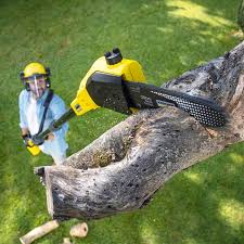 Best Commercial Tree Services  in Athens, AL